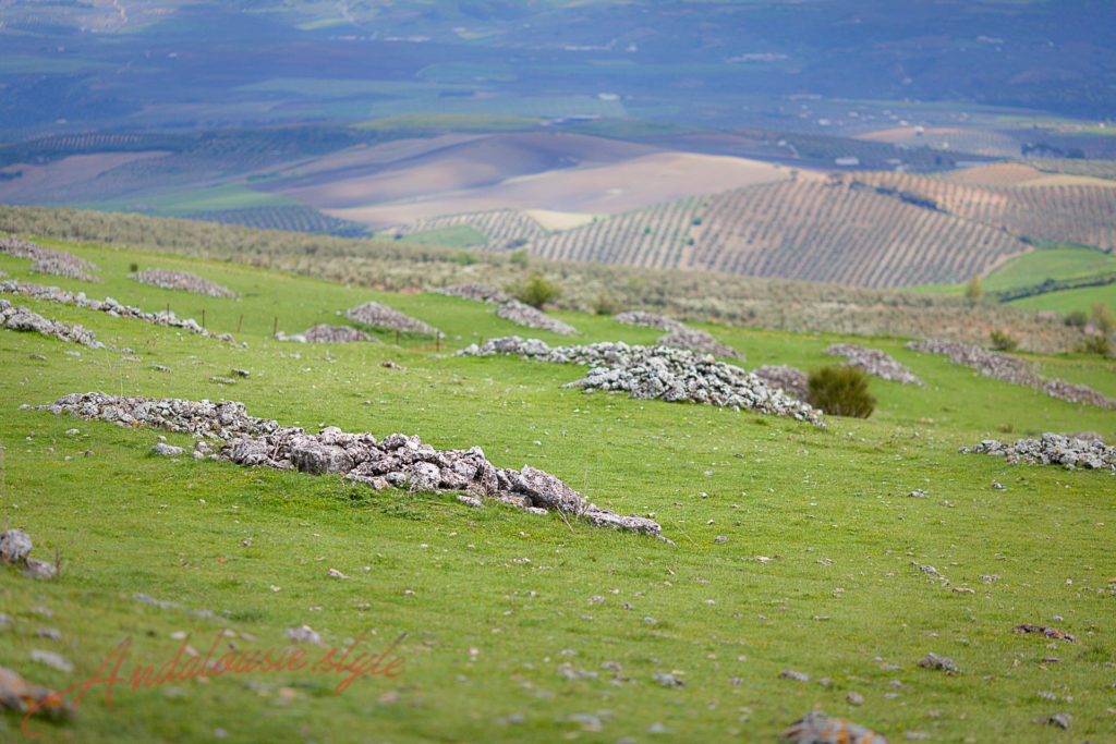Pourquoi visiter Ronda la vieja ou Acinipo Acinipo romain